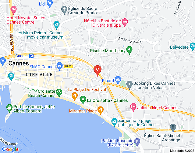Eden Palace – bright and fully renovated located in the heart of Cannes map image